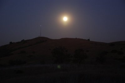 Dsc_0528.jpg