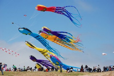Berkeley Kite Festival - 2010