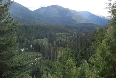 Near Rogers Pass