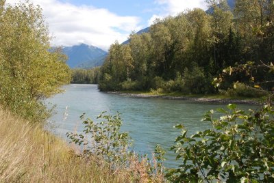 Illecillewaet River