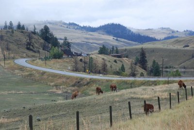 Along British Columbia Highway 5A between Merritt and Kamloops