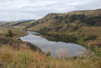 Along British Columbia Highway 5A between Merritt and Kamloops