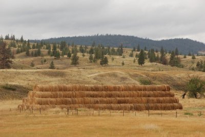 Along British Columbia Highway 5A between Merritt and Kamloops