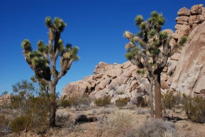 DSC_7604.jpg