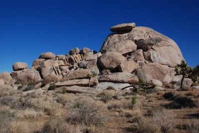 DSC_7632.jpg