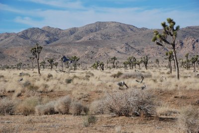DSC_7638.jpg