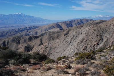 DSC_7681.jpg