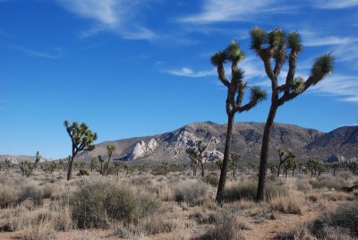 DSC_7761.jpg