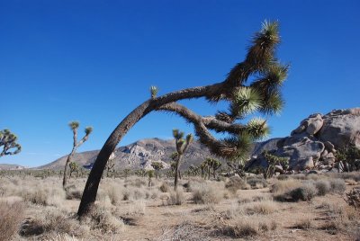 DSC_7889.jpg