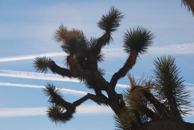 DSC_7902.jpg