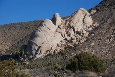 DSC_7905.jpg