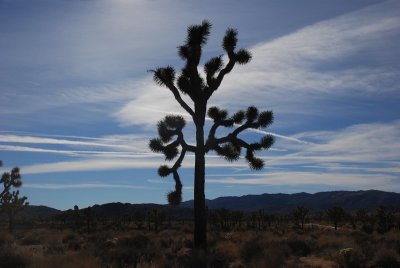 DSC_7939.jpg