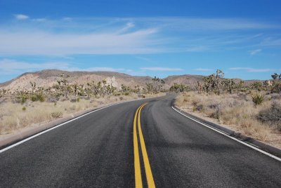 DSC_7942.jpg