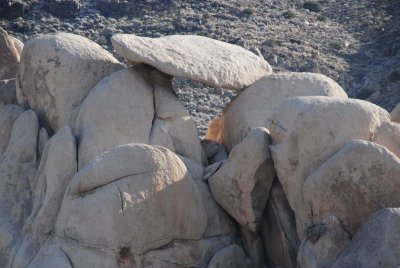 DSC_7952.jpg