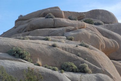 DSC_7972.jpg