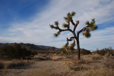 DSC_8177.jpg