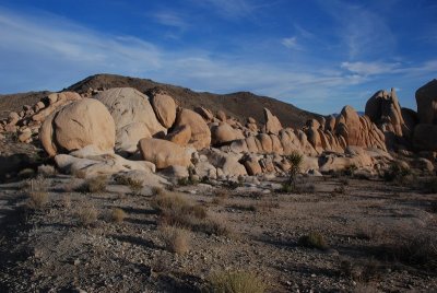 DSC_8197.jpg