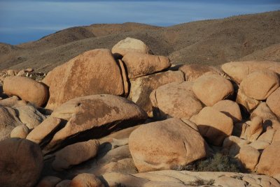 DSC_8289.jpg