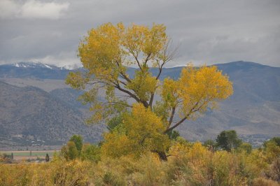 DSC_8766.jpg