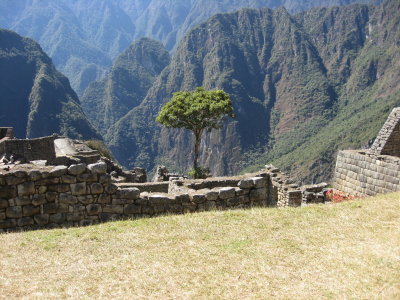 20080719_peru_0255.jpg