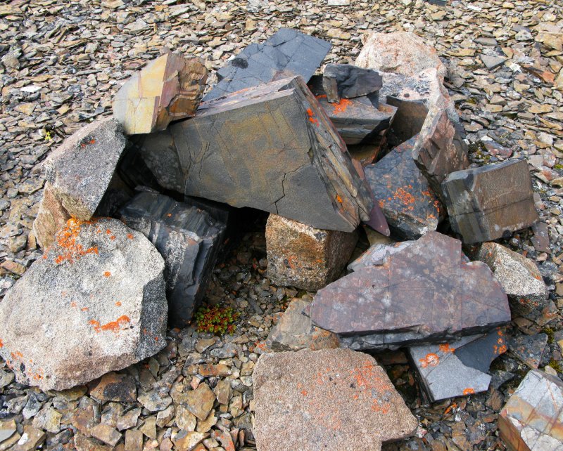 Stone trap near Razorback Point