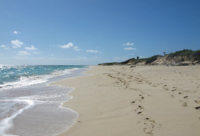 Castle Island beach