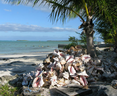 Pestel beach, Acklins