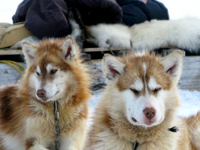 Couple resting