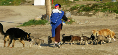 Puppies returning home