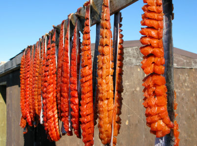 Drying arctic char, Pond Inlet