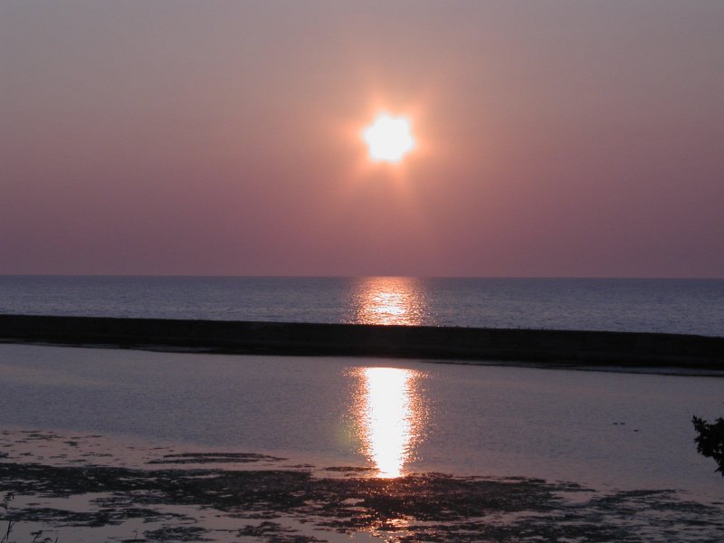 Oswego