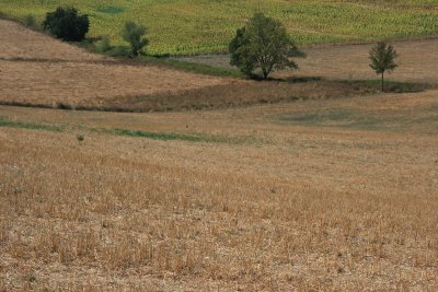 Paysage Toscane