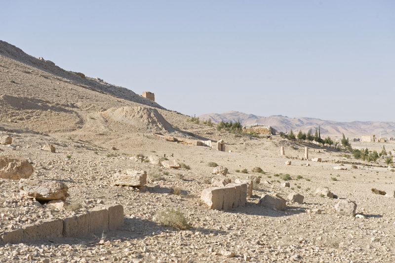 Palmyra apr 2009 0038.jpg