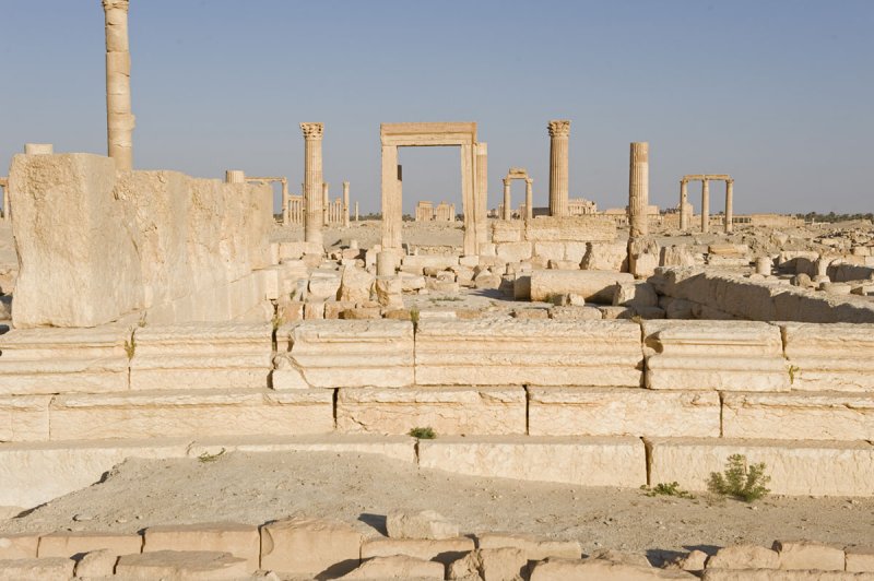 Palmyra apr 2009 0064.jpg