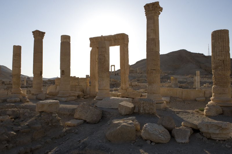 Palmyra apr 2009 0068.jpg