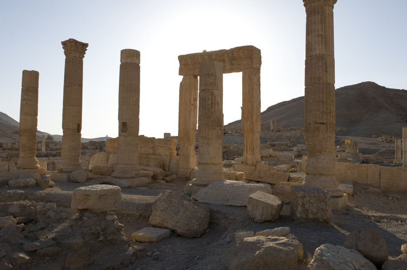 Palmyra apr 2009 0069.jpg
