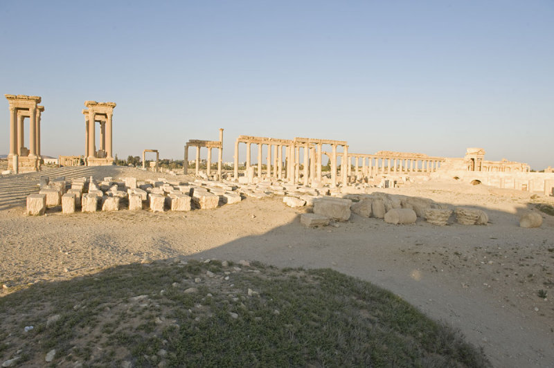 Palmyra apr 2009 0107.jpg