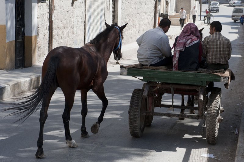 Aleppo horse cart 0192.jpg