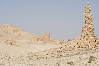 Palmyra apr 2009 0012.jpg