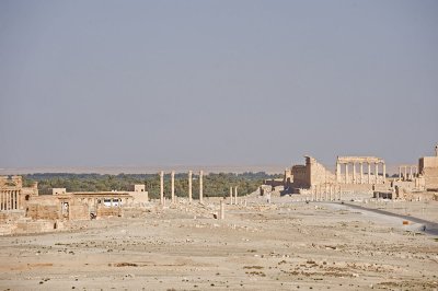 Palmyra apr 2009 0020.jpg
