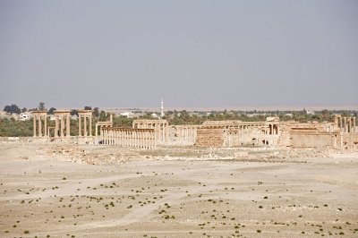 Palmyra apr 2009 0025.jpg