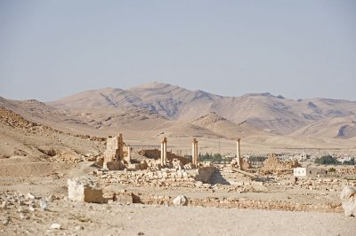 Palmyra apr 2009 0028.jpg