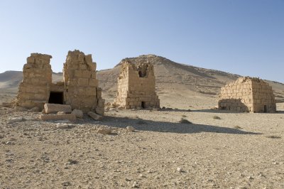 Palmyra apr 2009 0037.jpg