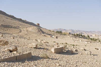 Palmyra apr 2009 0038.jpg
