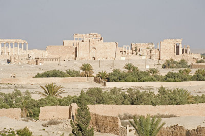 Palmyra apr 2009 0042.jpg