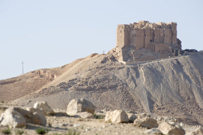 Palmyra apr 2009 0044.jpg