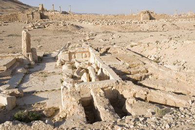 Palmyra apr 2009 0050.jpg