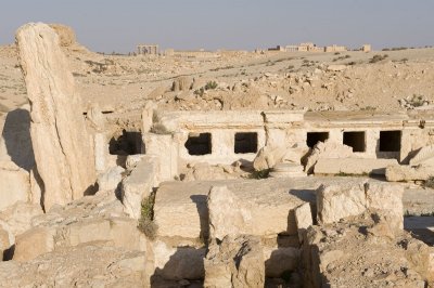 Palmyra apr 2009 0051.jpg