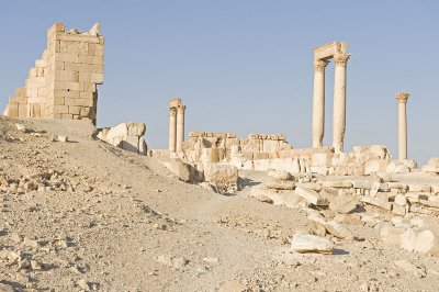 Palmyra apr 2009 0055.jpg