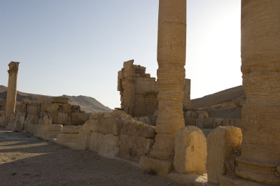 Palmyra apr 2009 0061.jpg